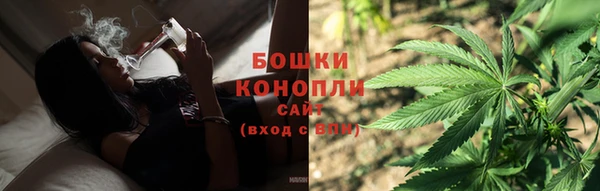 гидропоника Козловка