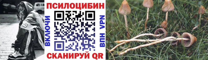Галлюциногенные грибы MAGIC MUSHROOMS  Купить закладки  Бутурлиновка 
